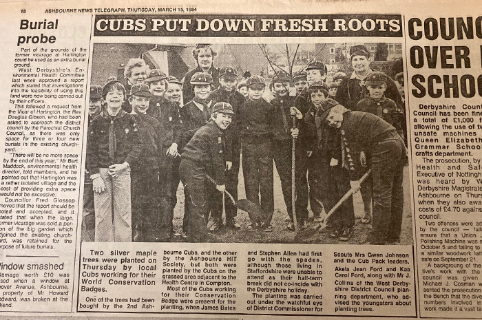 Newspaper cutting from 1984 with an article about Ashbourne cubs tree planting